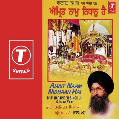 Amrit Naam Nidhaan Hai