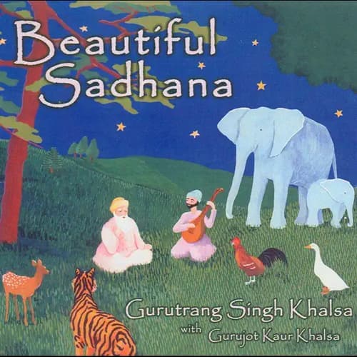 Beautiful Sadhana