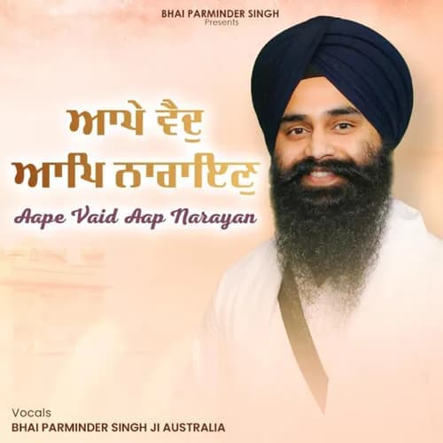 Aape Vaid Aap Narayan - Single