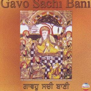Gavo Saachi Bani
