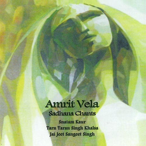 Amrit Vela