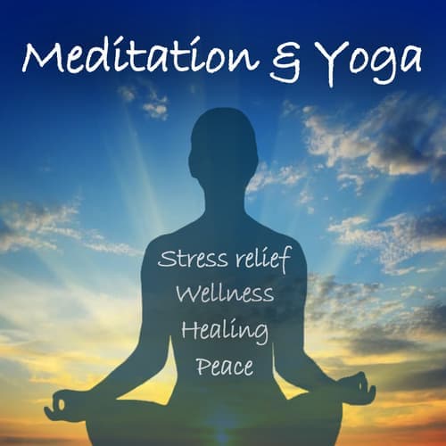 Meditation & Yoga