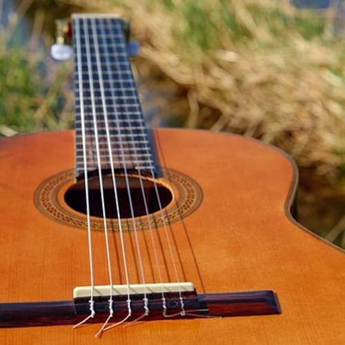 Gurbani & Guitar