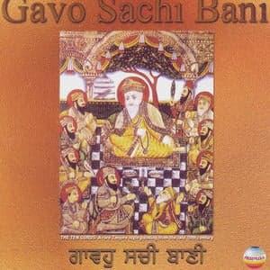 Gavo Saachi Bani